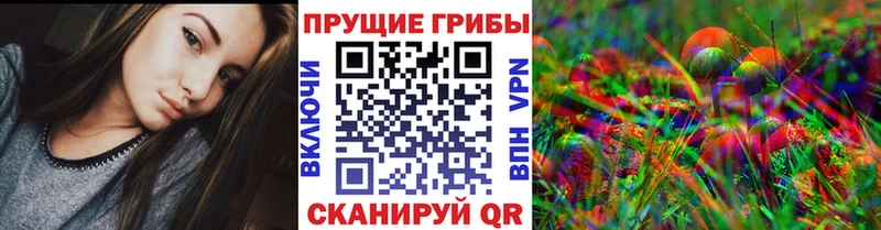Галлюциногенные грибы Psilocybe  Купить  Ряжск 